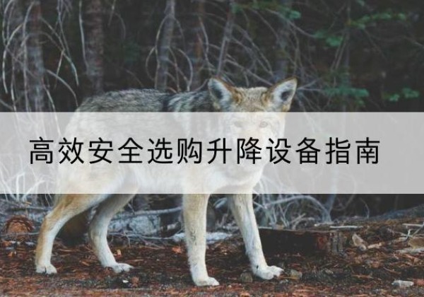 龙口升降货梯厂家推荐-*安全选购升降设备指南