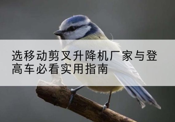 龙口电动升降机厂家-选移动剪叉升降机厂家与登高车必看实用指南