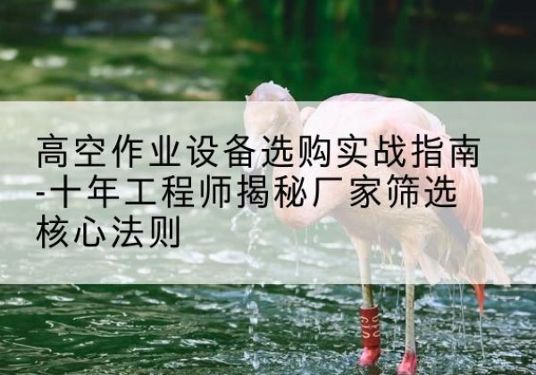 龙口剪叉式升降机厂家-高空作业设备选购实战指南-十年工程师揭秘厂家筛选核心法则